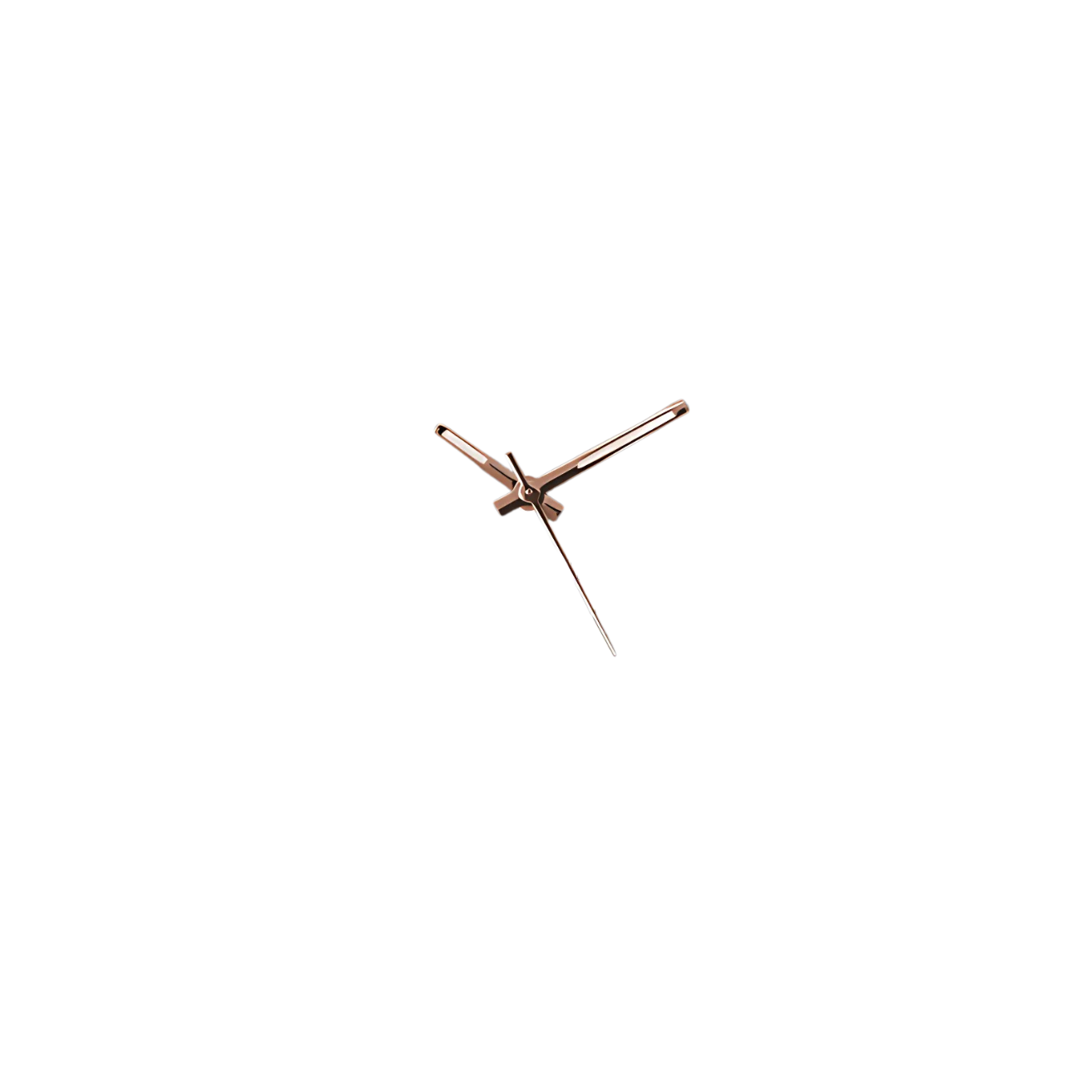1756918501424-bronze