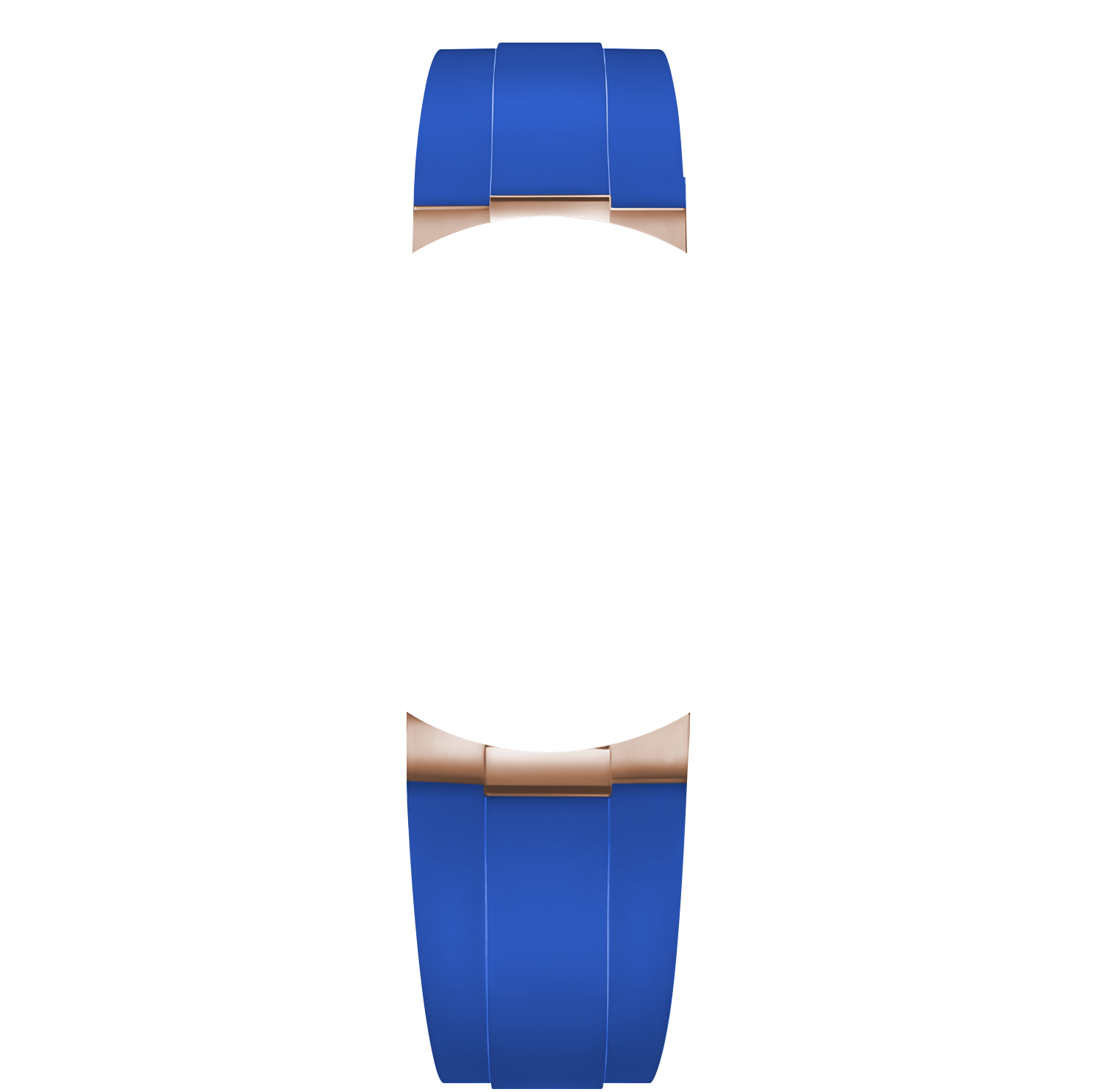 Blue Ribbon Bronze