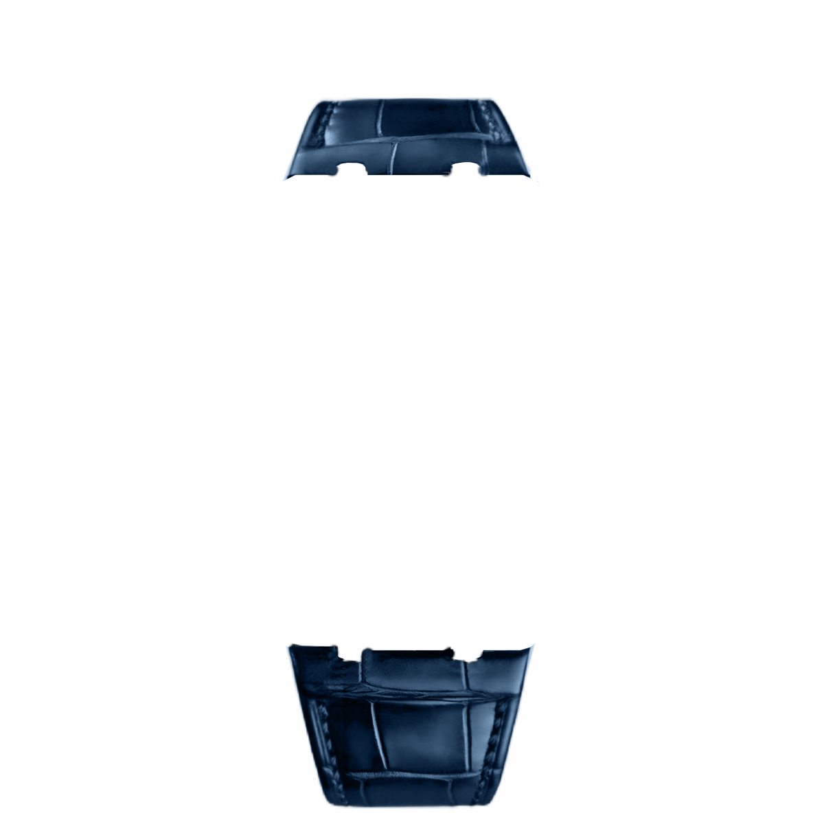 Blue Leather